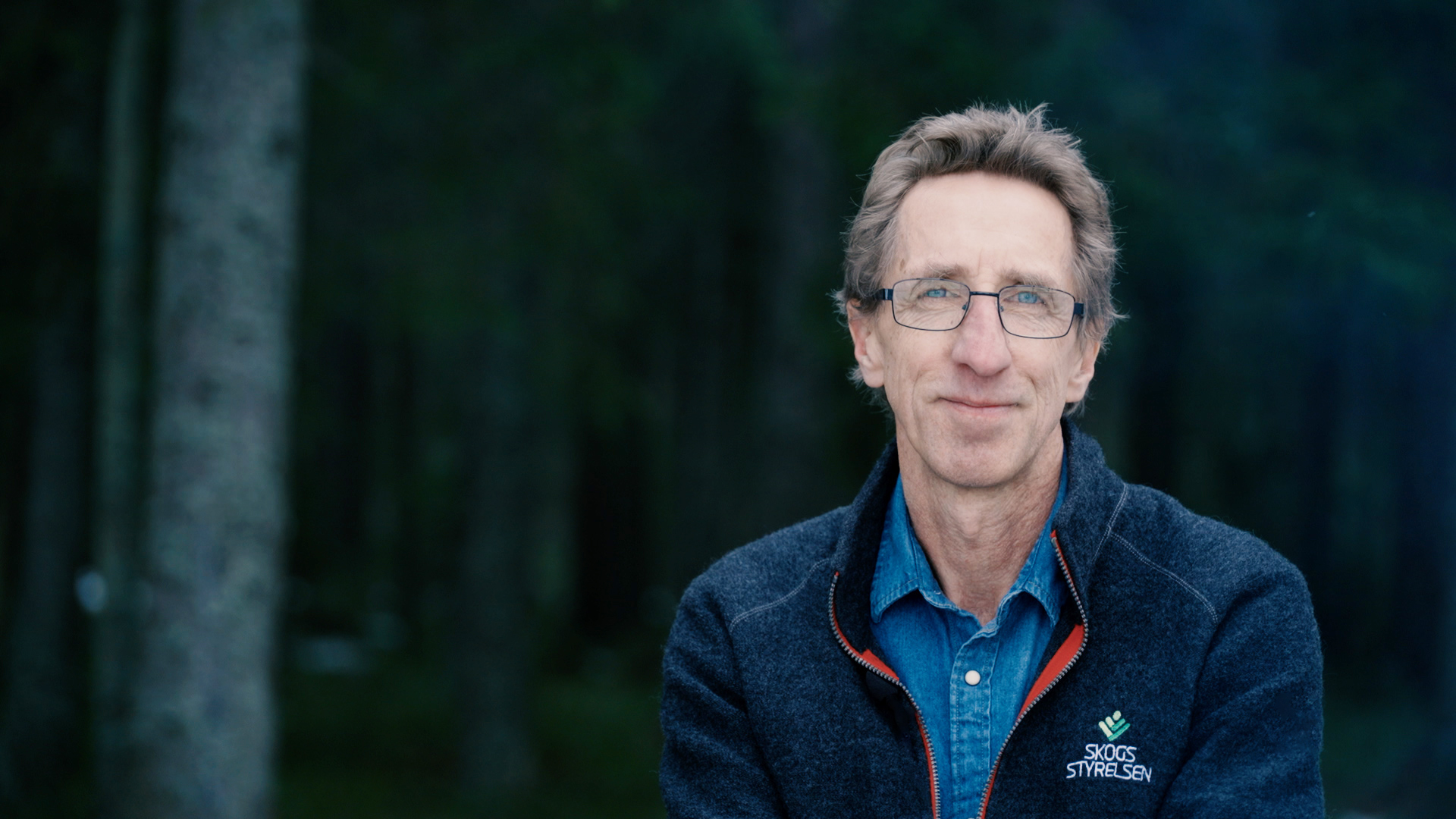 Skogen samhället och det relationella ledarskapet
